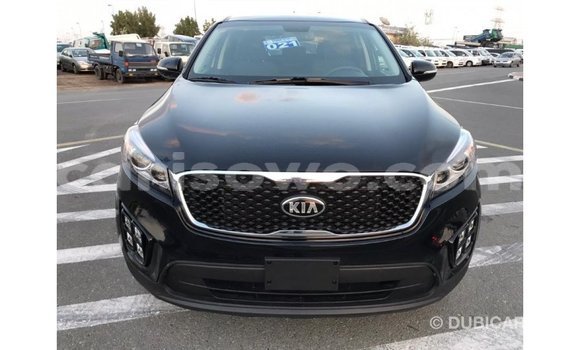 Buy Import Kia Sorento Black Car in Import - Dubai in Benign Buy Import Kia Sorento Black Car in Import - Dubai in Benign