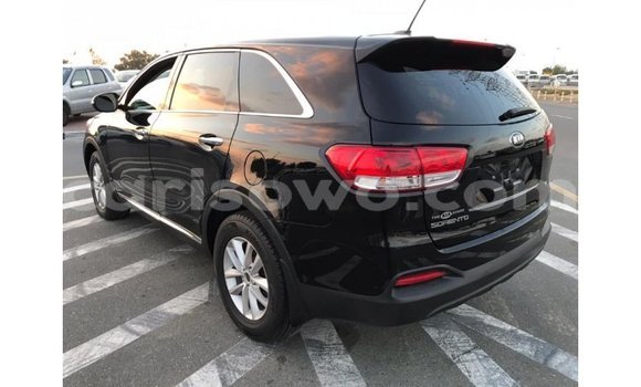 Buy Import Kia Sorento Black Car in Import - Dubai in Benign Buy Import Kia Sorento Black Car in Import - Dubai in Benign