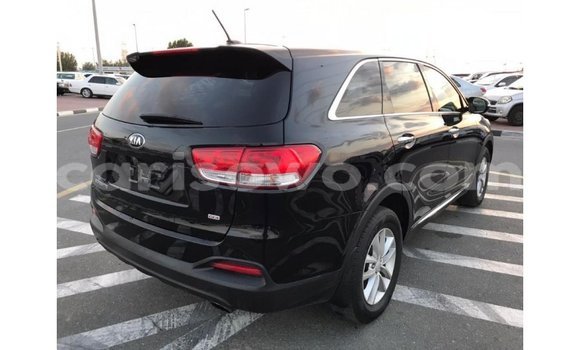 Buy Import Kia Sorento Black Car in Import - Dubai in Benign Buy Import Kia Sorento Black Car in Import - Dubai in Benign