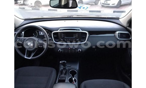 Buy Import Kia Sorento Black Car in Import - Dubai in Benign Buy Import Kia Sorento Black Car in Import - Dubai in Benign