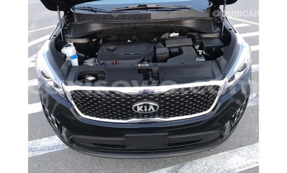Buy Import Kia Sorento Black Car in Import - Dubai in Benign Buy Import Kia Sorento Black Car in Import - Dubai in Benign