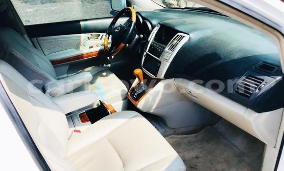Buy Used Lexus RX 330 White Car in Cotonou in Benign Buy Used Lexus RX 330 White Car in Cotonou in Benign