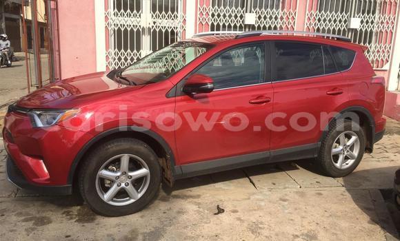 Buy New Toyota RAV4 Red Car in Cotonou in Benign Buy New Toyota RAV4 Red Car in Cotonou in Benign
