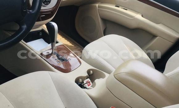 Ra Àlòkù Hyundai Santa Fe Alawọ ewe Ọkọ̀ in Cotonou ni Benin Ra Àlòkù Hyundai Santa Fe Alawọ ewe Ọkọ̀ in Cotonou ni Benin