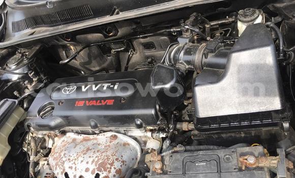 Buy Used Toyota RAV4 Silver Car in Cotonou in Benign Buy Used Toyota RAV4 Silver Car in Cotonou in Benign