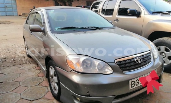Ra Àlòkù Toyota Corolla Silver Ọkọ̀ in Cotonou ni Benin Ra Àlòkù Toyota Corolla Silver Ọkọ̀ in Cotonou ni Benin