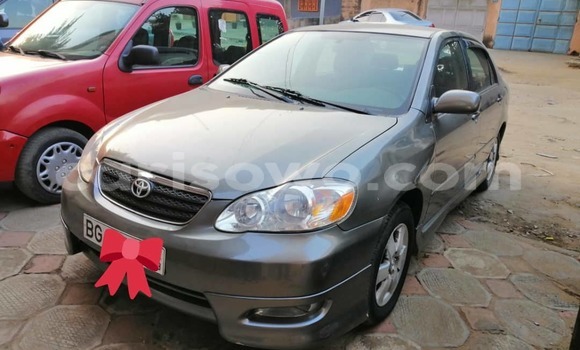 Ra Àlòkù Toyota Corolla Silver Ọkọ̀ in Cotonou ni Benin Ra Àlòkù Toyota Corolla Silver Ọkọ̀ in Cotonou ni Benin