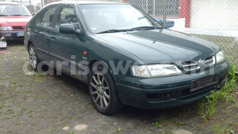 Big with watermark 13528081 207301466336437 3006517556382542845 o