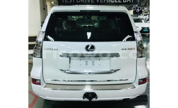 Acheter Import Voiture Lexus GX Blanc à Import - Dubai, Benin Acheter Import Voiture Lexus GX Blanc à Import - Dubai, Benin