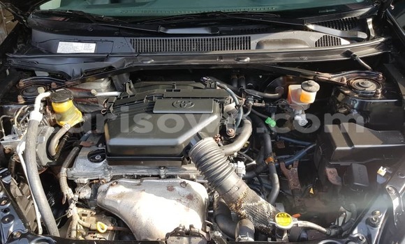 Buy Used Toyota RAV4 Green Car in Cotonou in Benign Buy Used Toyota RAV4 Green Car in Cotonou in Benign