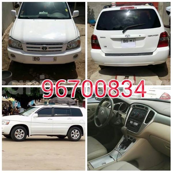 Big with watermark 13076887 491487501041968 4268774777027911143 n