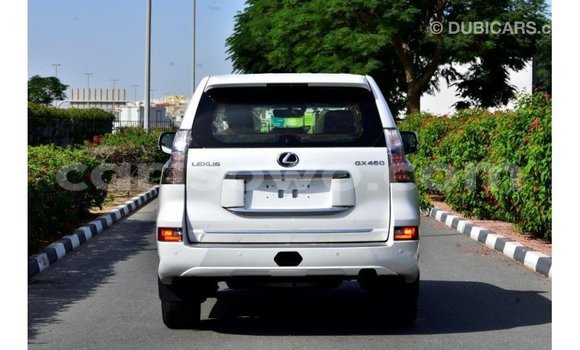 Buy Import Lexus GX White Car in Import - Dubai in Benign Buy Import Lexus GX White Car in Import - Dubai in Benign