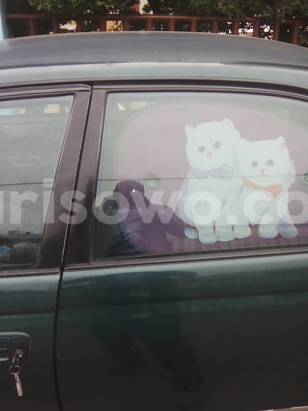 Big with watermark img 20160721 111445 1