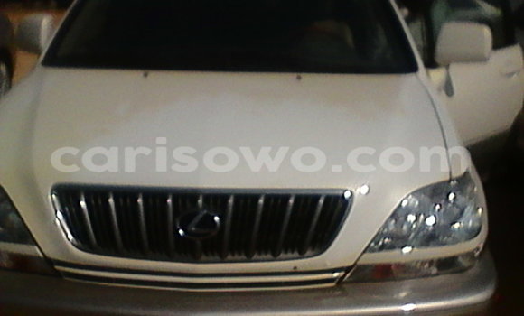 Sayi Na hannu Lexus RX 330 White Mota in Cotonou a Benin