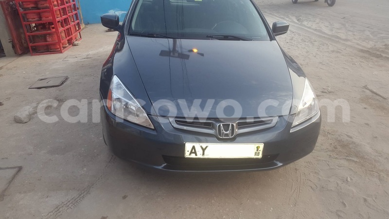 Big with watermark ay