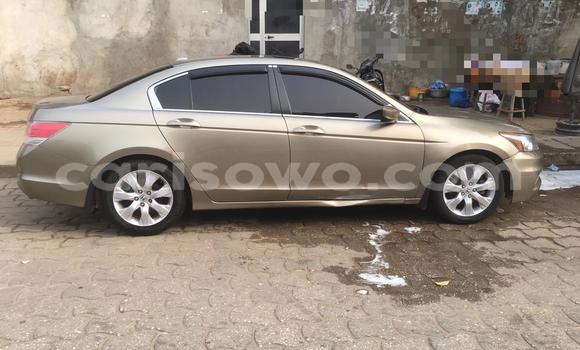 Buy New Honda Accord Brown Car in Cotonou in Benign Buy New Honda Accord Brown Car in Cotonou in Benign