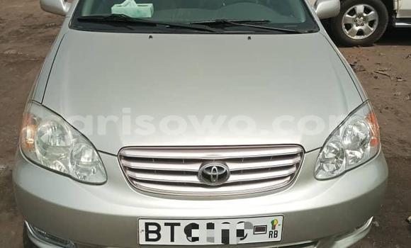 Ra Tuntun Toyota Corolla Silver Ọkọ̀ in Cotonou ni Benin Ra Tuntun Toyota Corolla Silver Ọkọ̀ in Cotonou ni Benin