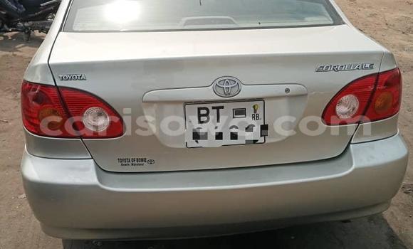 Ra Tuntun Toyota Corolla Silver Ọkọ̀ in Cotonou ni Benin Ra Tuntun Toyota Corolla Silver Ọkọ̀ in Cotonou ni Benin