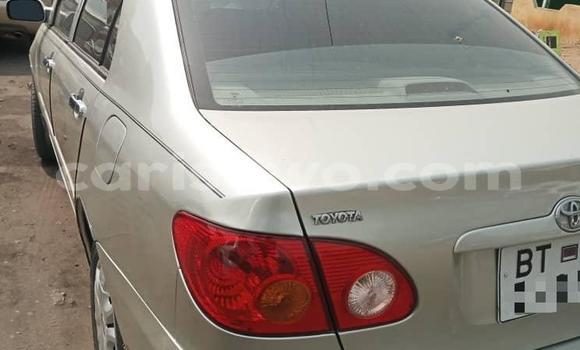 Ra Tuntun Toyota Corolla Silver Ọkọ̀ in Cotonou ni Benin Ra Tuntun Toyota Corolla Silver Ọkọ̀ in Cotonou ni Benin