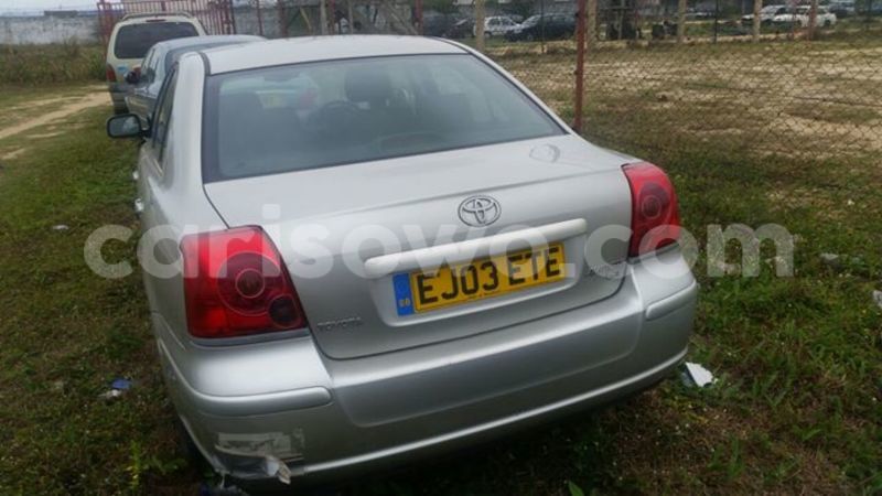 Big with watermark 14316981 10210707138857845 8349215952595816907 n