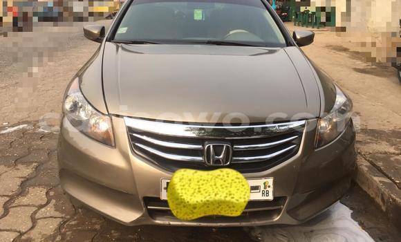 Buy New Honda Accord Brown Car in Cotonou in Benign Buy New Honda Accord Brown Car in Cotonou in Benign
