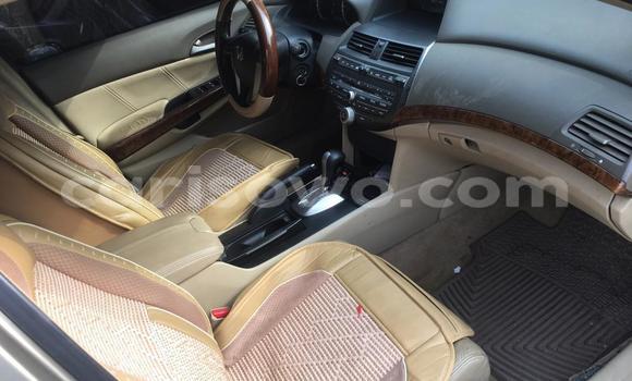 Buy New Honda Accord Brown Car in Cotonou in Benign Buy New Honda Accord Brown Car in Cotonou in Benign