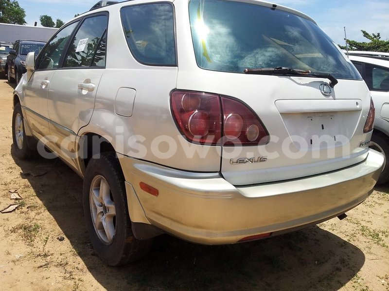 Big with watermark 14322611 965552490222599 6538714368794516621 n