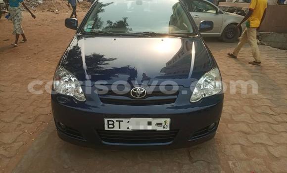 Buy New Toyota Corolla Black Car in Cotonou in Benign Buy New Toyota Corolla Black Car in Cotonou in Benign