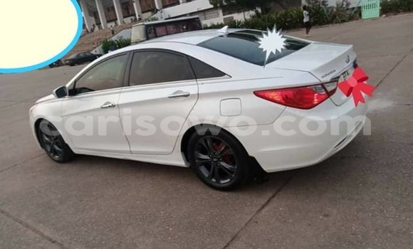 Sayi Na hannu Hyundai Sonata White Mota in Cotonou a Benin Sayi Na hannu Hyundai Sonata White Mota in Cotonou a Benin