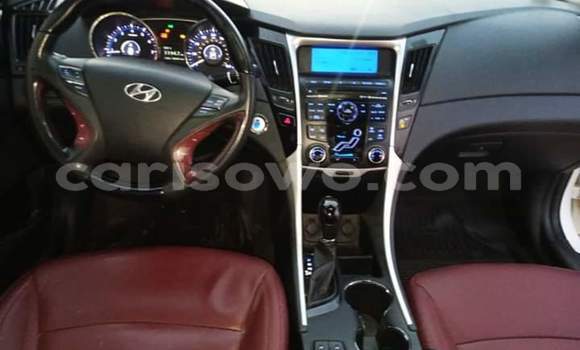 Sayi Na hannu Hyundai Sonata White Mota in Cotonou a Benin Sayi Na hannu Hyundai Sonata White Mota in Cotonou a Benin