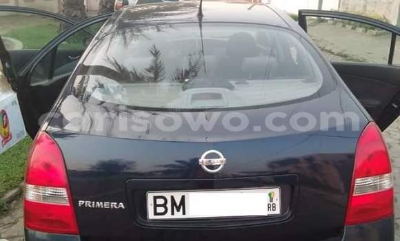 Ra Àlòkù Nissan Primera Blue Ọkọ̀ in Cotonou ni Benin Ra Àlòkù Nissan Primera Blue Ọkọ̀ in Cotonou ni Benin