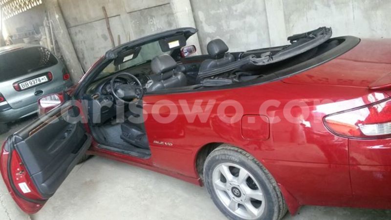 Big with watermark 14361282 1124790234235133 2594489126237502130 o