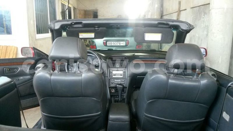 Big with watermark 14322611 965552490222599 6538714368794516621 n