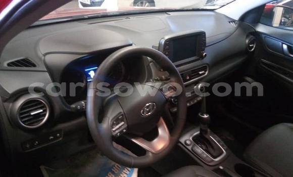 Buy New Hyundai Kona Red Car in Cotonou in Benign Buy New Hyundai Kona Red Car in Cotonou in Benign