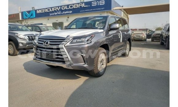 Buy Import Lexus LX Other Car in Import - Dubai in Benign Buy Import Lexus LX Other Car in Import - Dubai in Benign