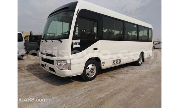 Buy Import Toyota Coaster White Truck in Import - Dubai in Benign Buy Import Toyota Coaster White Truck in Import - Dubai in Benign