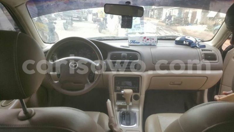 Big with watermark 15085725 1807518756152333 594058357118157051 n