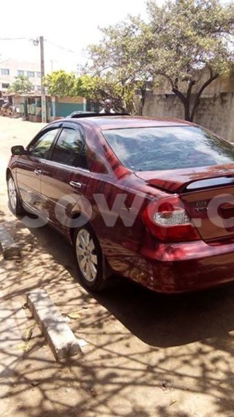 Big with watermark 14657537 1788245558079653 2934189850053452497 n