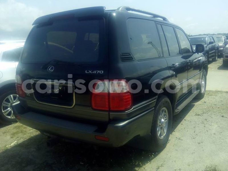 Big with watermark 14522796 348464948820091 7225044223616517774 n