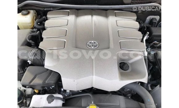 Buy Import Toyota Land Cruiser White Car in Import - Dubai in Benign Buy Import Toyota Land Cruiser White Car in Import - Dubai in Benign