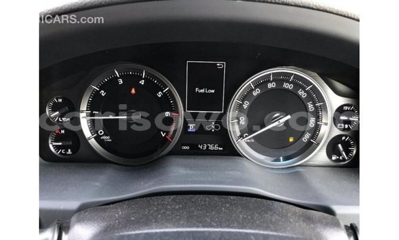 Buy Import Toyota Land Cruiser White Car in Import - Dubai in Benign Buy Import Toyota Land Cruiser White Car in Import - Dubai in Benign