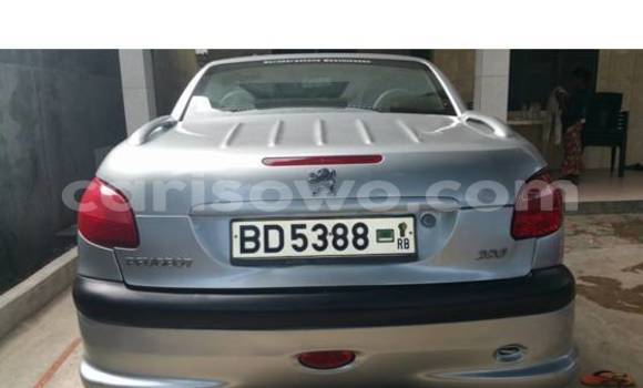 Sayi Na hannu Peugeot 206 Azurfa Mota in Porto Novo a Benin Sayi Na hannu Peugeot 206 Azurfa Mota in Porto Novo a Benin