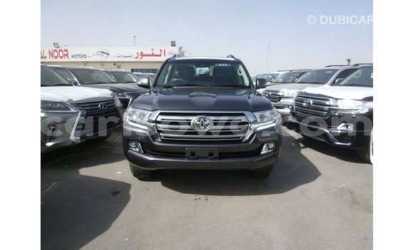 Buy Import Toyota Land Cruiser Other Car in Import - Dubai in Benign Buy Import Toyota Land Cruiser Other Car in Import - Dubai in Benign