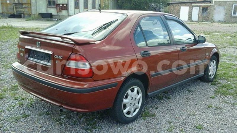 Big with watermark 14523043 1102720749815128 4825505693144669178 n