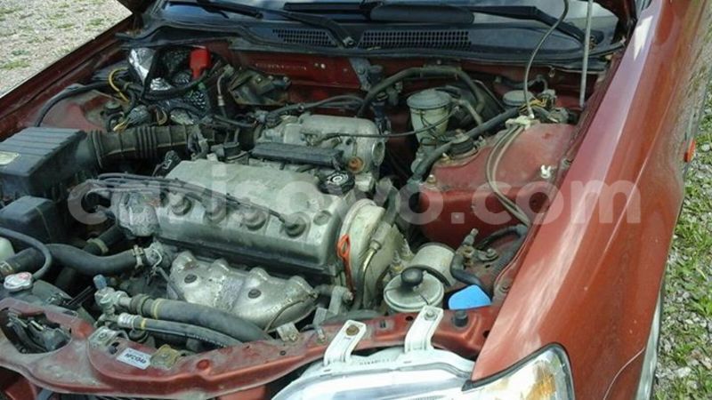 Big with watermark 14563328 1102720816481788 4188096662080112876 n