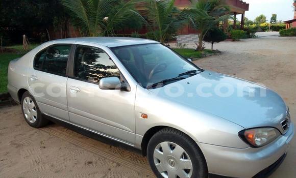 Acheter Occasion Voiture Nissan Primera Gris à Cotonou, Benin Acheter Occasion Voiture Nissan Primera Gris à Cotonou, Benin