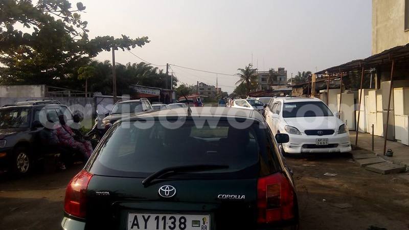 Big with watermark 14457431 575592422624492 2363429041354618022 n