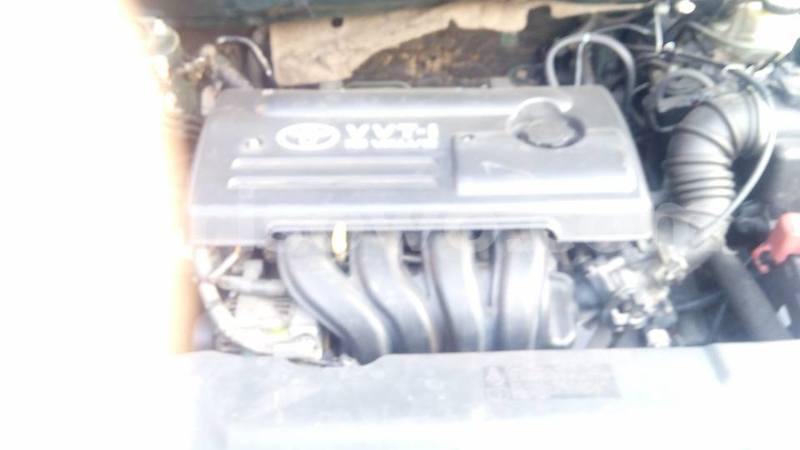 Big with watermark 14448854 575592535957814 8777187088409168883 n