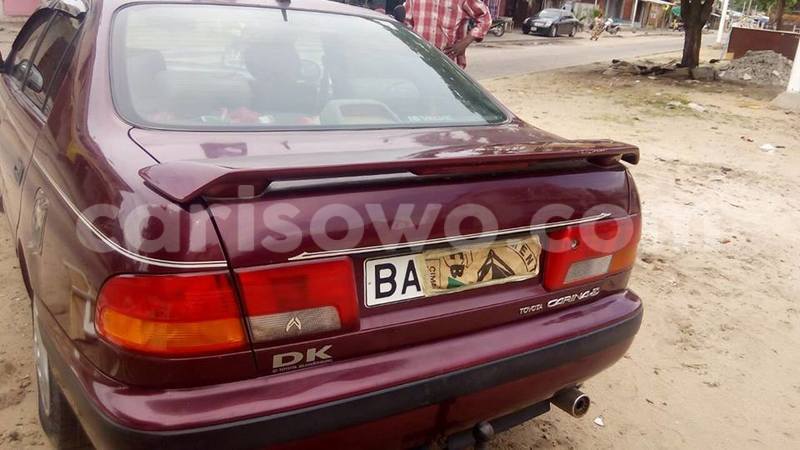 Big with watermark 13709888 542556945928040 522123845987092134 n