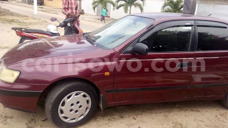 Big with watermark 13726569 542556962594705 1905353795453847236 n